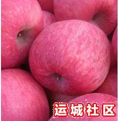 运城红富士(膜袋)苹果