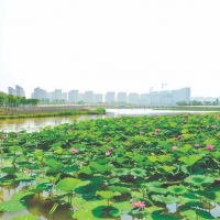 官道河人文湿地公园