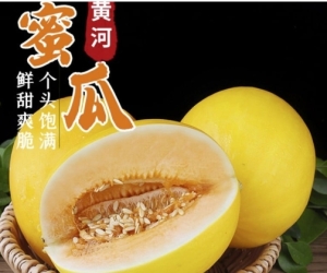 【i百联爆款】大漠民勤蜜瓜，18°甜度暴击，这个夏天就靠它续命