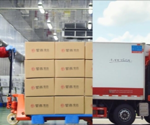 紫燕百味鸡：数智赋能，卤味企业的转型蜕变
