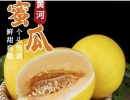 【i百联爆款】大漠民勤蜜瓜，18°甜度暴击，这个夏天就靠它续命