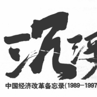 《沉浮》——中国经济改革备忘录(1989-1997)