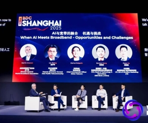 星展银行（中国）首席信息官宫霄峻：金融大模型在效率与安全的博弈中驶向智能深水区
