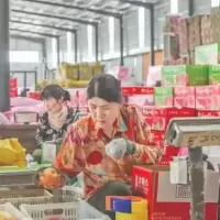 苹果打包