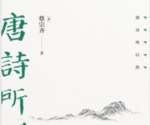 唐诗所以然