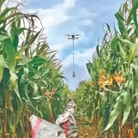 地面难行，空中吊运！平陆无人机“兜底”秋收