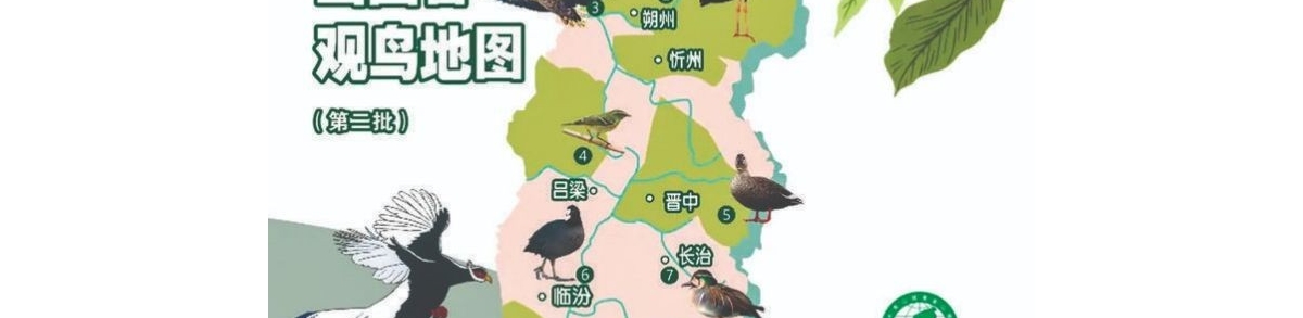 运城盐湖、伍姓湖入选山西省观鸟地图