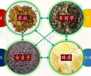 虎贞清风胶囊：以自然之力，享自由之风
