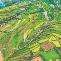 夏县深山中药材玉米地秋雨染金！