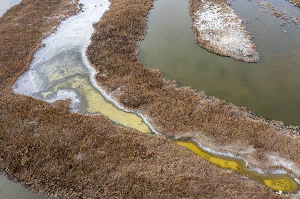 冬日盐湖，色彩斑斓（摄影组图）