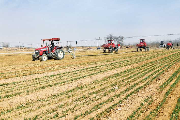 阳庄村小麦生产基地的拖拉机