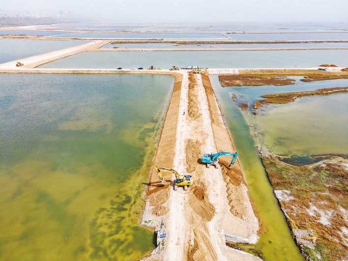 盐湖堤埝除险加固及生态修复项目