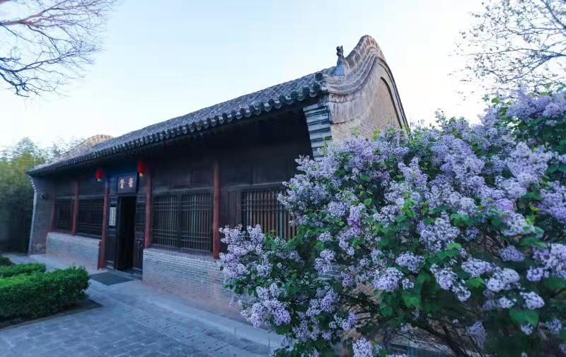 夏县：丁香花香温公祠