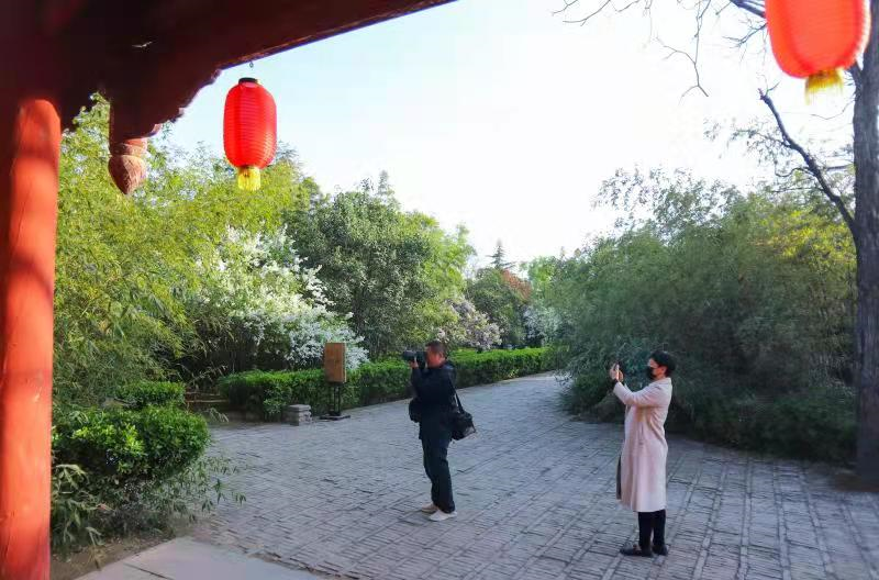 夏县：丁香花香温公祠