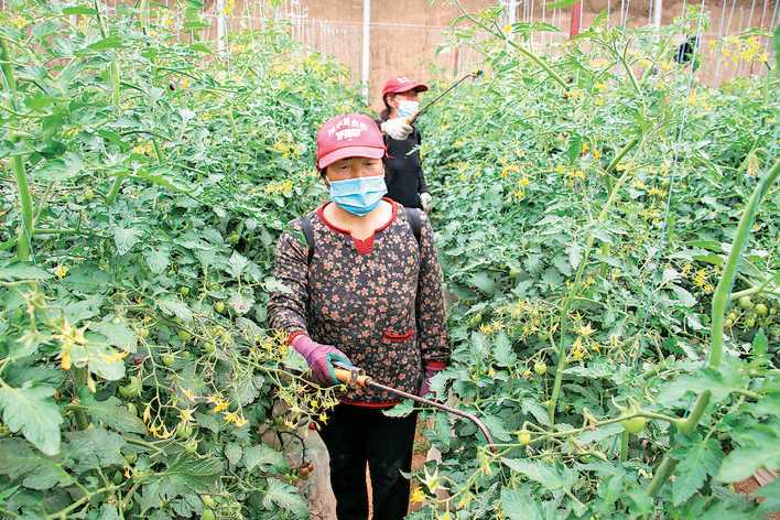 闻喜县阳庄村新建2300平方米蔬菜交易市场，