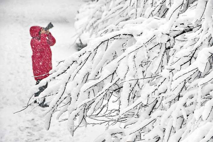 初雪