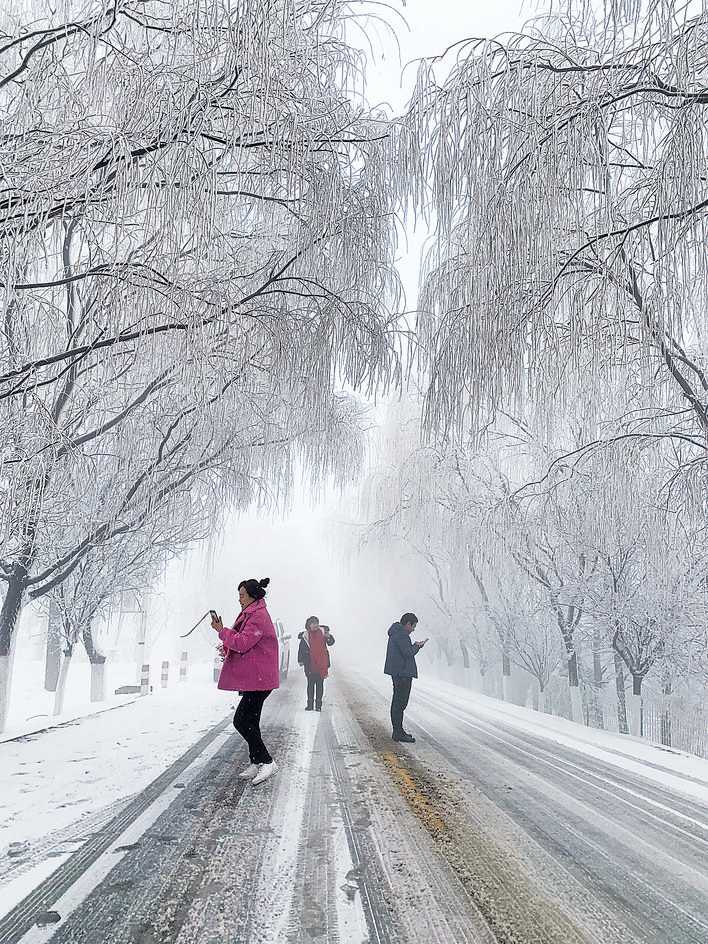 初雪