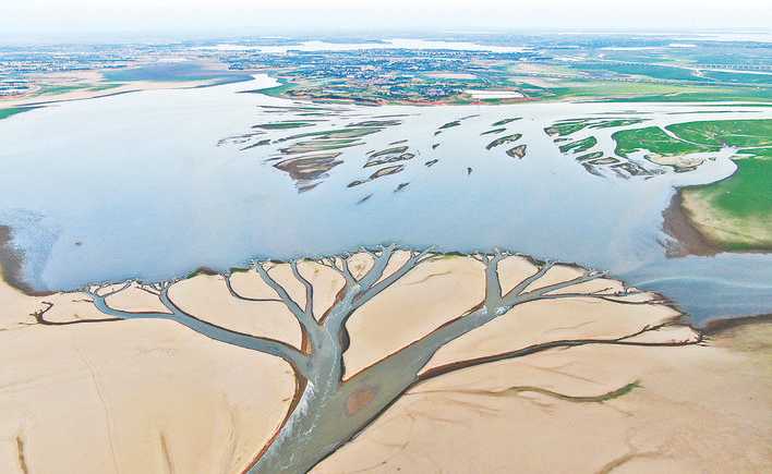 鄱阳湖现“大地之树” 自然景观现象