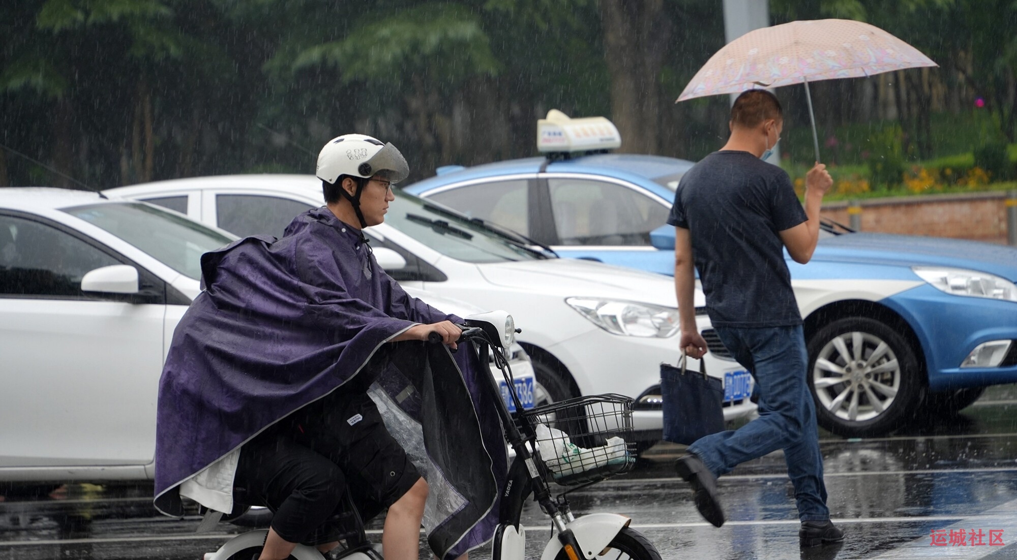 雨中行