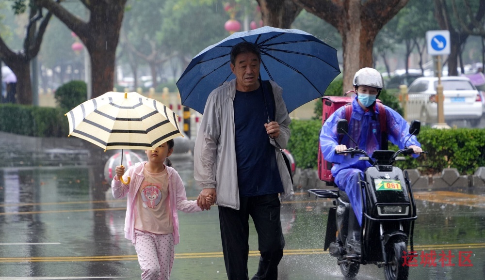 雨中行