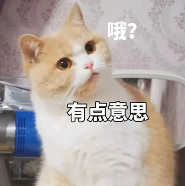 面部改变这般大，除了丰满就是年轻