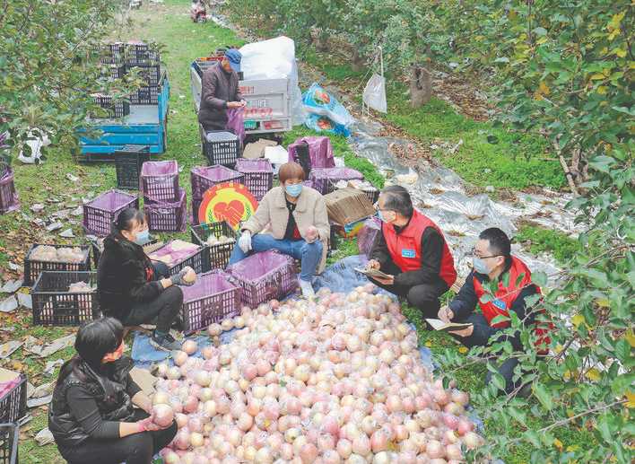 万荣县调解员深入当地果园排查化解矛盾