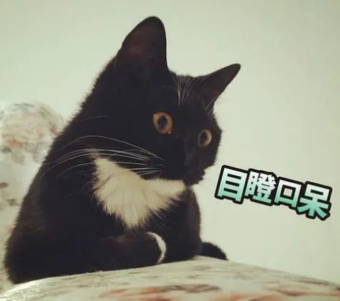 眼睑很平整，再也没有难看的眼袋了!