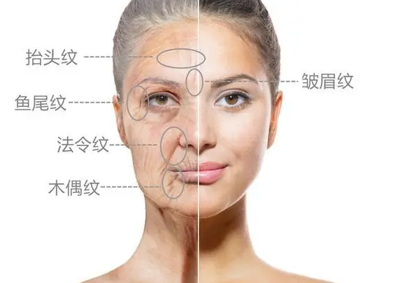 想要缓解衰老问题，保持皮肤平整区域是关键