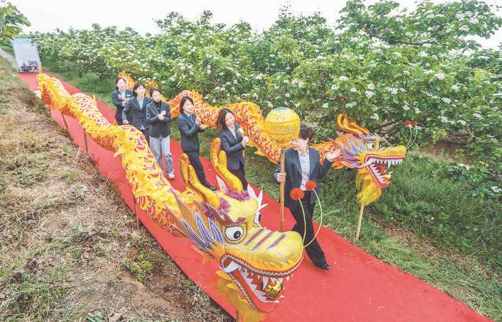 闻喜县第八届山楂花节暨山楂特色专业镇招商推介活动掠影