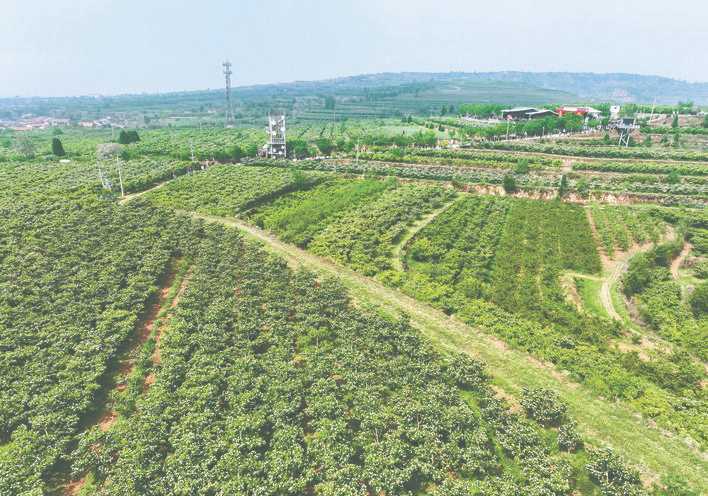 闻喜县第八届山楂花节暨山楂特色专业镇招商推介活动掠影