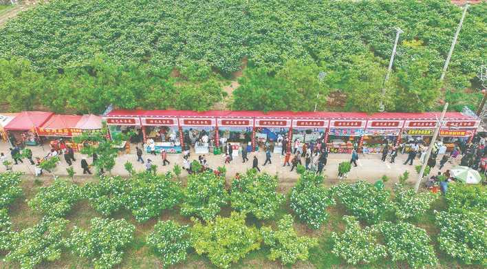 闻喜县第八届山楂花节暨山楂特色专业镇招商推介活动掠影