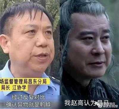 鸭鼠之辨：板结的利益集团和无解的塔西佗陷阱