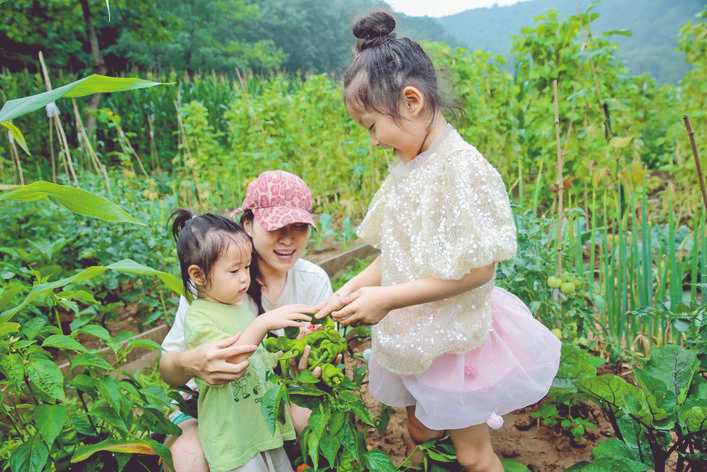 夏县泗交望山有机农场