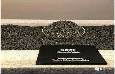 学爸蛋总：天灾与人祸  永远是我们的敌人