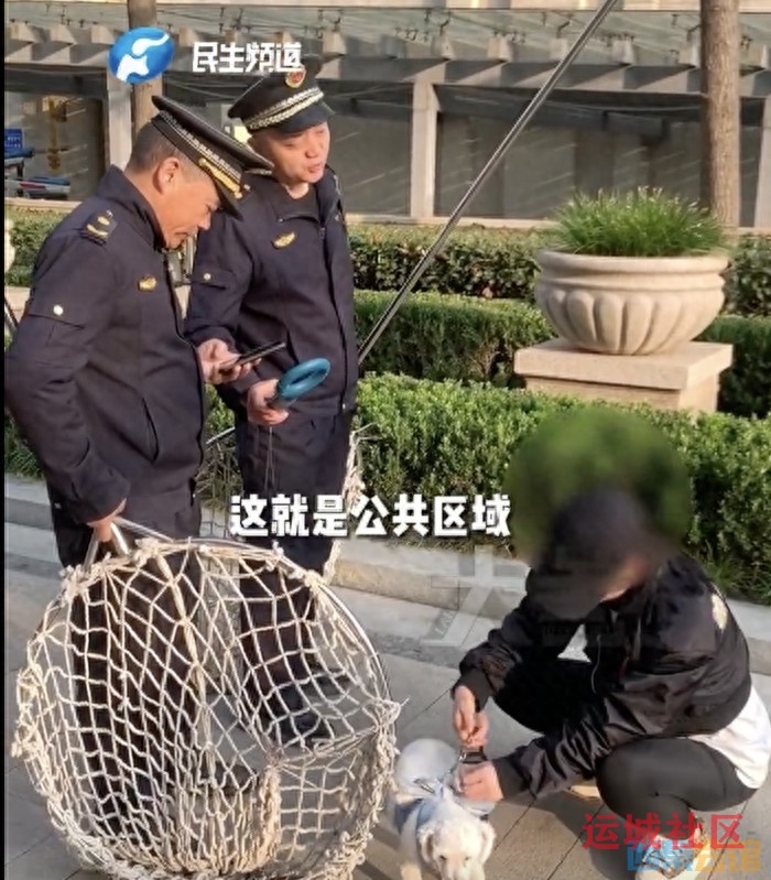 一地城管严查遛狗不栓绳，发现就暂扣，回应：出了家门就属于公共区域
