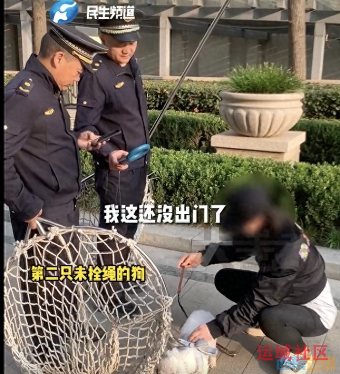 一地城管严查遛狗不栓绳，发现就暂扣，回应：出了家门就属于公共区域