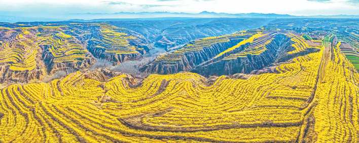 花漾河东