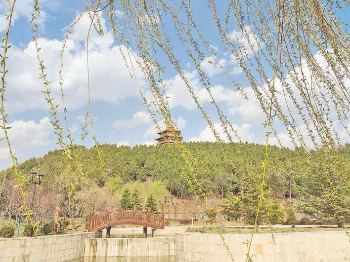 帝舜公园花香满园