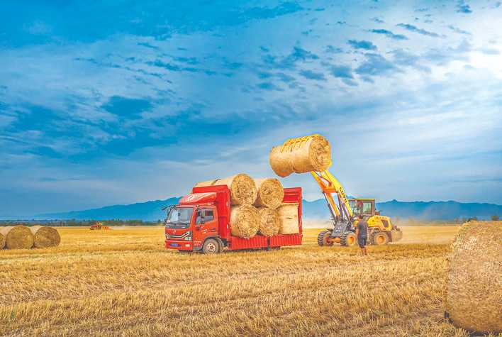 小麦秸秆机械打捆