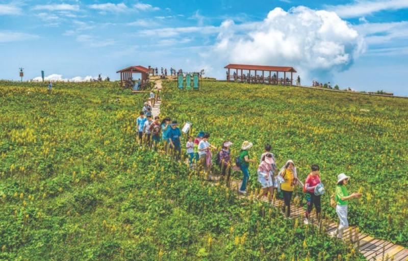 白云翻滚，花海绚丽，历山风景区舜王坪迎来一批批游客。下图为7月28日， ...