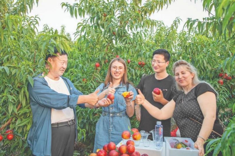 7月底，上半年运城市共出口水果9.2万吨。运城地处北纬35度水果生产“黄金 ...