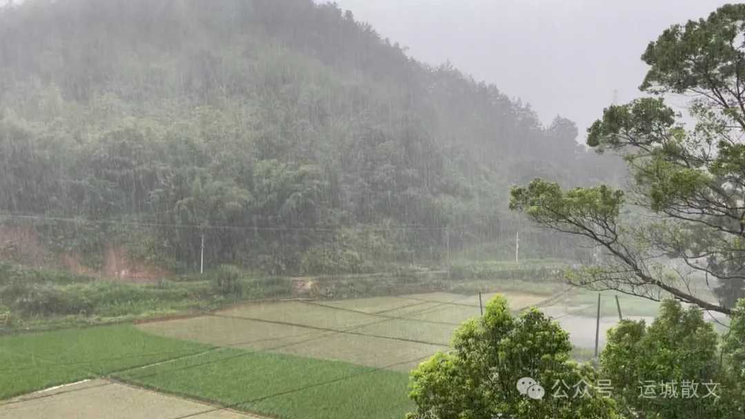 忆冒雨访清川_散文_海苔