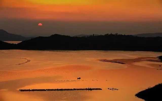 黄河夕照（外二首）_诗歌_临猗 翟千亨