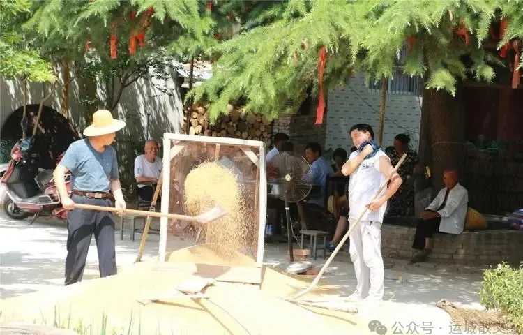 龙口夺食_王旭鹏