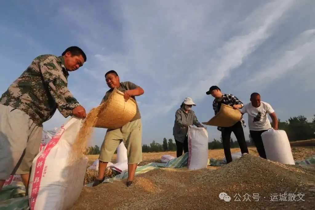 龙口夺食_王旭鹏