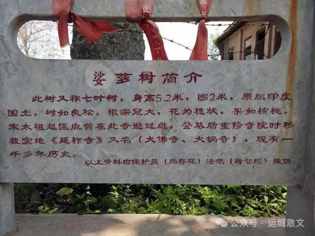 永济千年古刹《延祚寺》的前世今生_张兴平