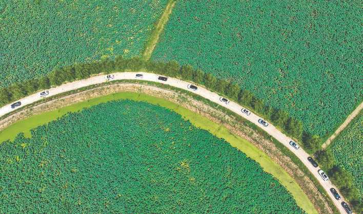 沿黄河一号旅游公路自驾游见闻_李丹凤