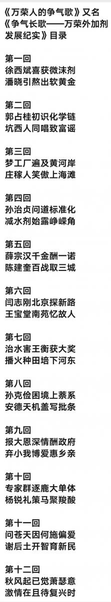 《万荣人的争气歌》又名《争气长歌——万荣外加剂发展纪实》目录