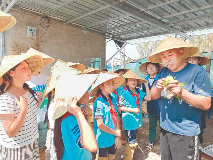 平陆县困境未成年人走进水稻主题展馆