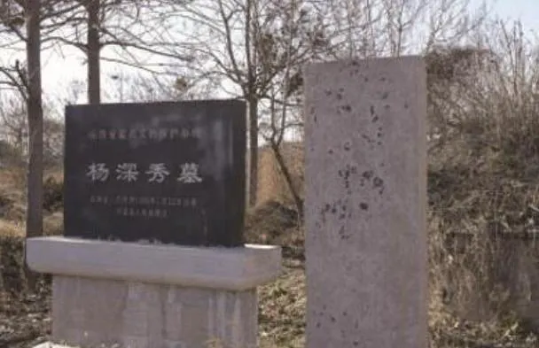 舍身变法杨深秀_冯建国